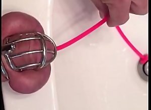 Sounding my locked up cocklet