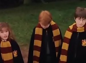 Harry Potter e a Pedra Filosofal (part 1)