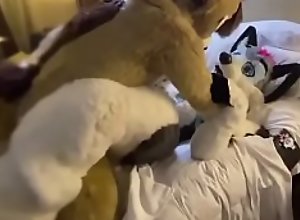 Cute Fursuit bottom moans cutely for top 2