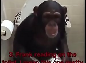Monkeys fucking with big cock 