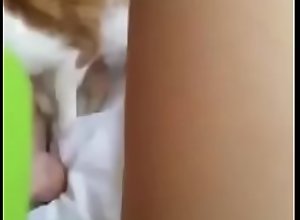 Pussy and the cat