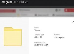 Mega pack 600 11 Gb  Brazzers,Reality Kings,.. - JusPorno.Com   