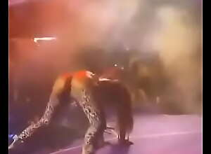 Anitta dançando inchDeslizo e jogoinch em seu