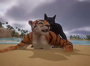 Wolf and Tiger breed on the beach - Wildlife