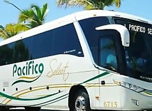 Porn in a bus in Campinas