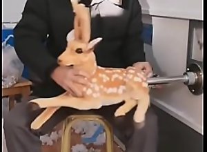Bambi es penetrada brutalmente por maquina xD
